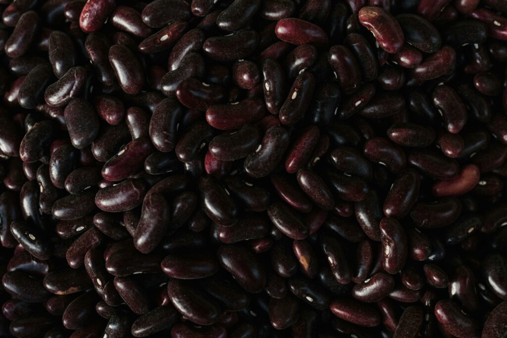 Um close-up de grãos de feijão-preto, que preenchem toda a foto. Os grãos têm tons que variam do roxo escuro ao preto, com alguns reflexos que destacam sua textura lisa e brilhante. Esses grãos são comumente usados em muitas receitas tradicionais brasileiras, como a feijoada.